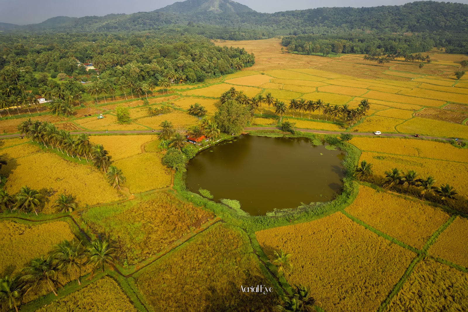Bhavinesh Bharathan Photography - Drone Photography Story 160