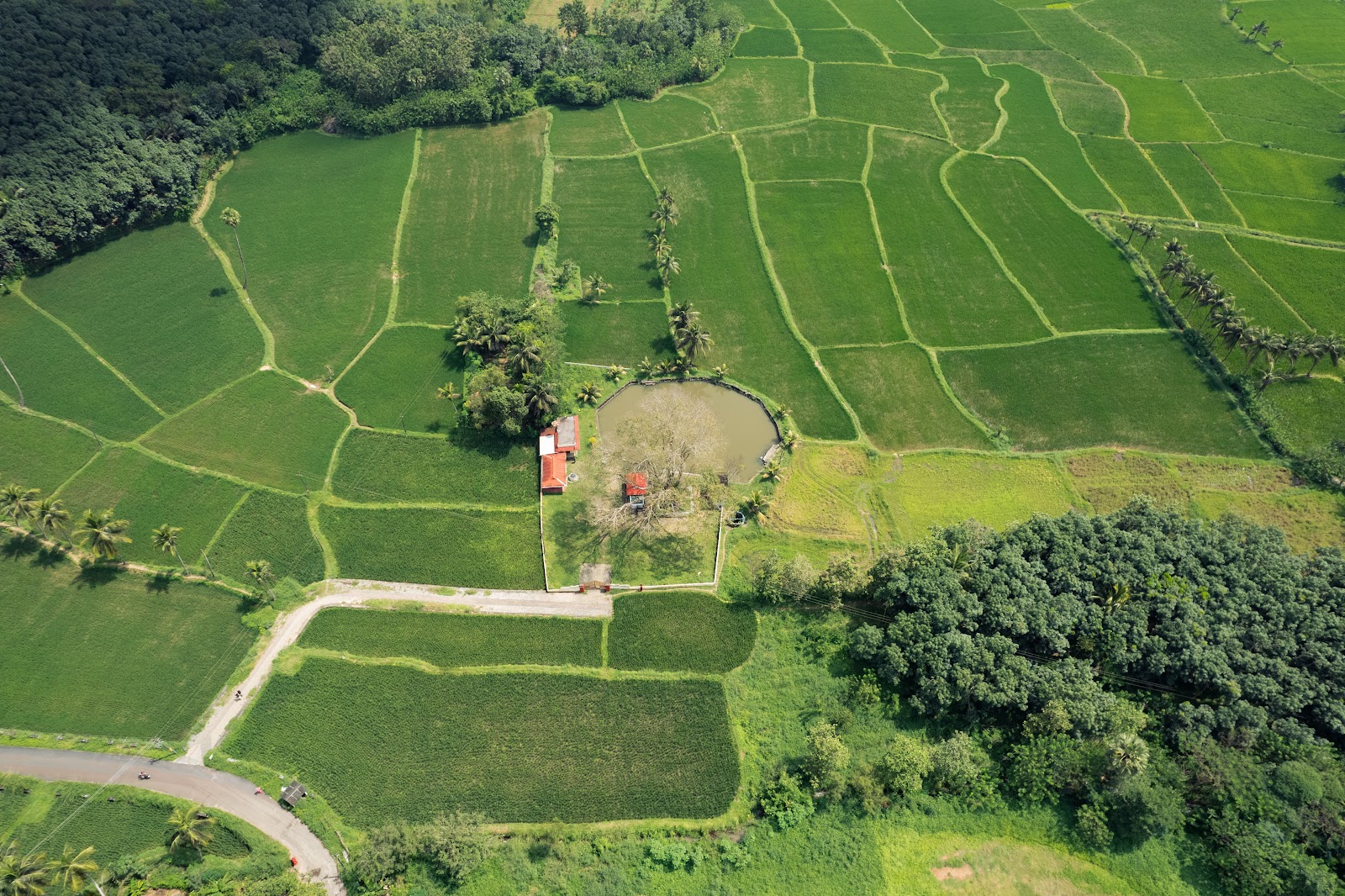 Bhavinesh Bharathan Photography - Drone Photography Story 195